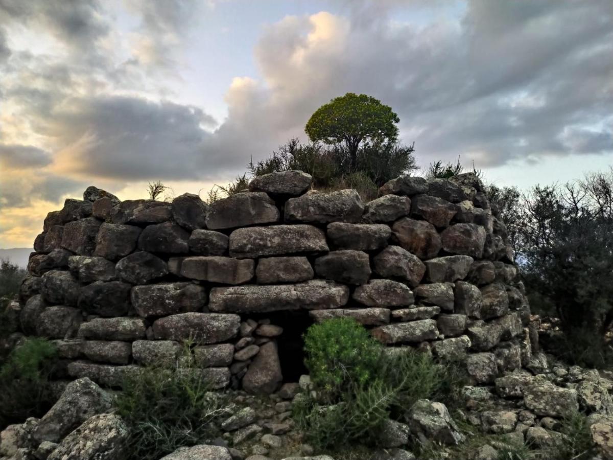 Appartamento A 50 Mt Dal Mare Cala Gonone Exterior foto