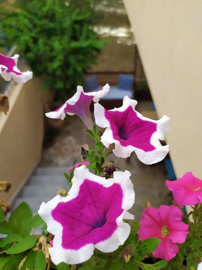 Appartamento A 50 Mt Dal Mare Cala Gonone Exterior foto