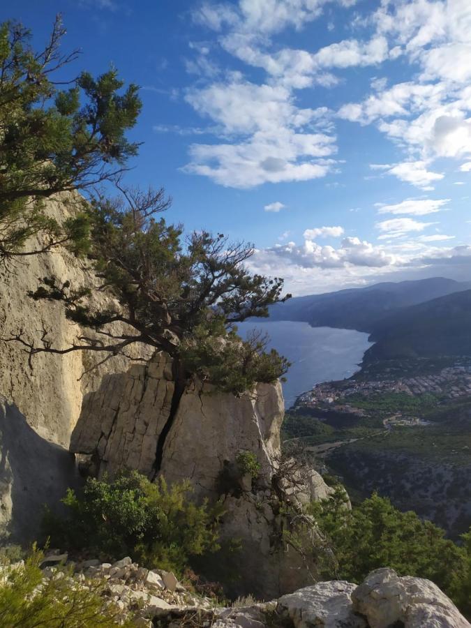 Appartamento A 50 Mt Dal Mare Cala Gonone Exterior foto